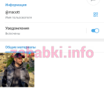 Проститутка Кузнецова Александра Ильинична