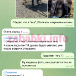 Латушко Каролина Сергеевна