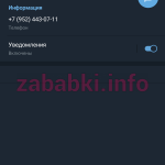 Мишина Светлана Александровна