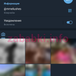 Васильева Дарья Мансуровна