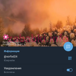 Светлана Чистякова