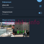 Василиева Ксения Владимировна