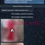 Дарья Шмидт