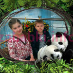 Теплякова Елизавета Дмитриевна